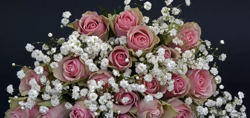 ピッコラ ・ドンナのイメージ画像4