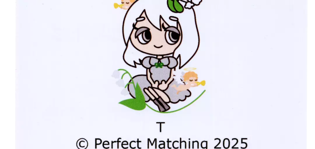 Perfect Matchingのイメージ画像5