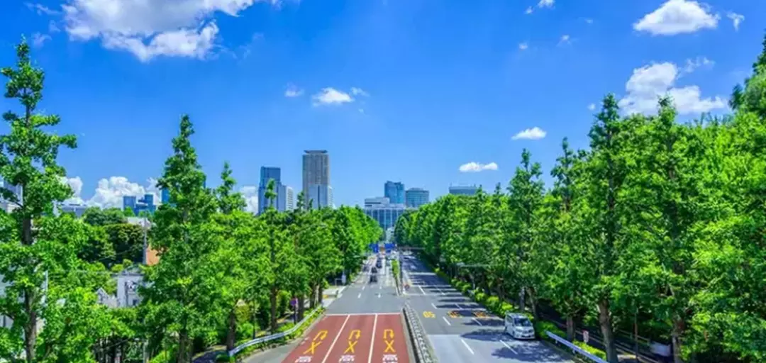 BridalBrainのイメージ画像