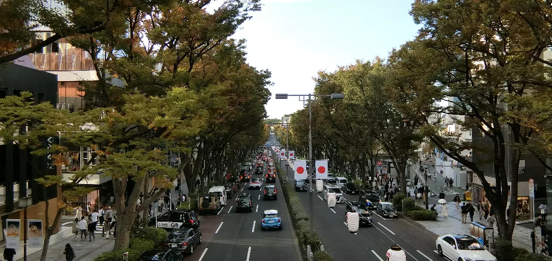 BridalBrainのイメージ画像5