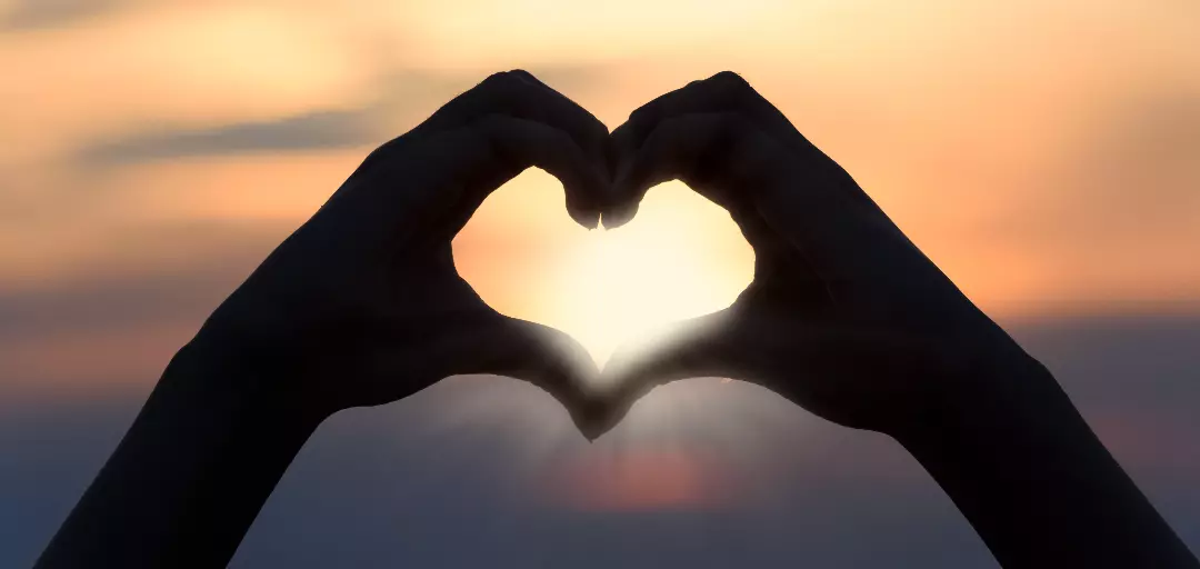 フォルトゥナのイメージ画像4