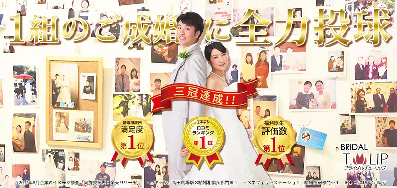 Bridalチューリップのイメージ画像5