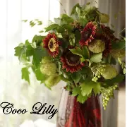 Coco Lilyのロゴ