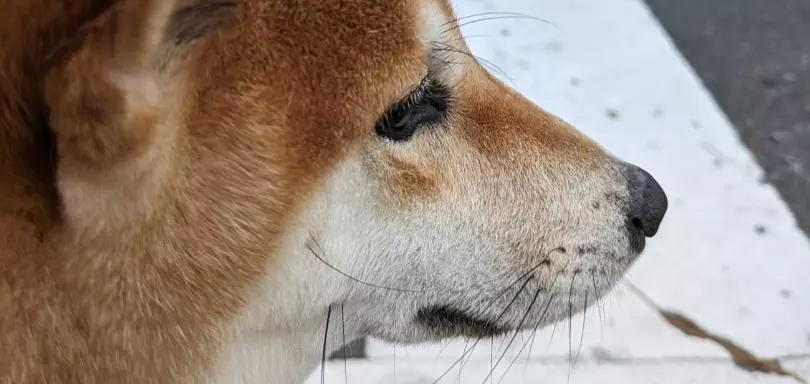埼玉県東部　縁結び　HARUのイメージ画像3