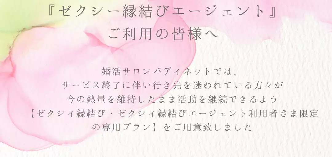 バディ ネットのイメージ画像2