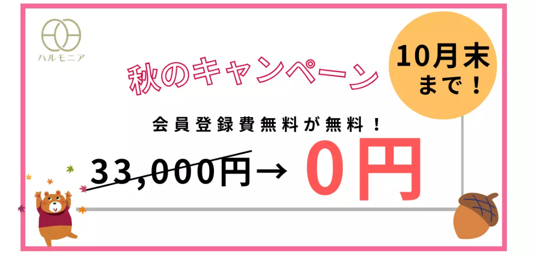 ハルモニアのイメージ画像5