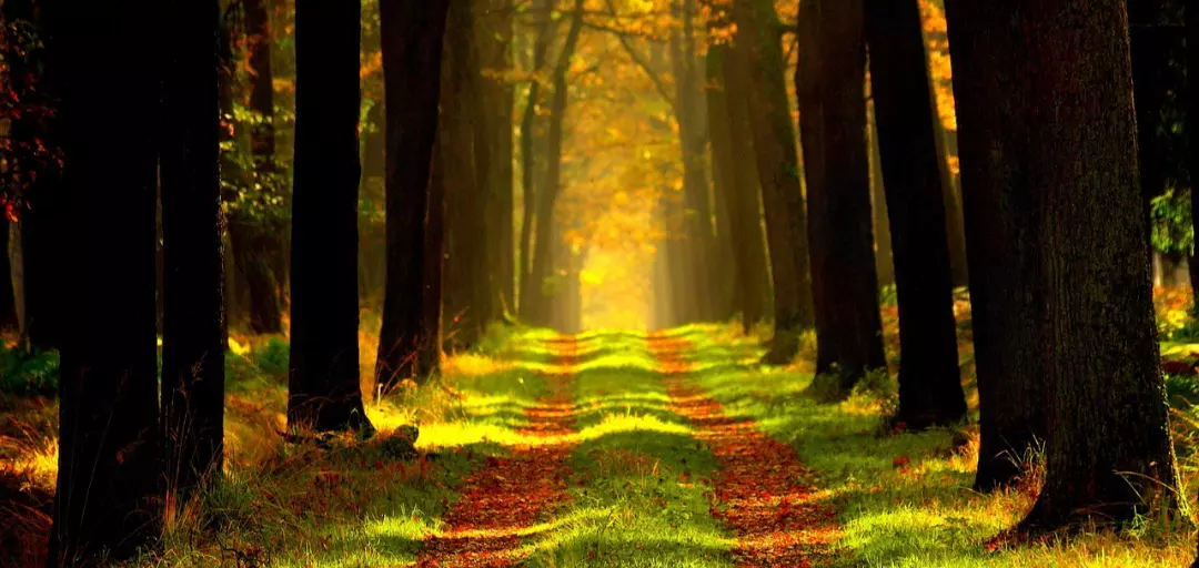 結婚相談所　やまとの風のイメージ画像3