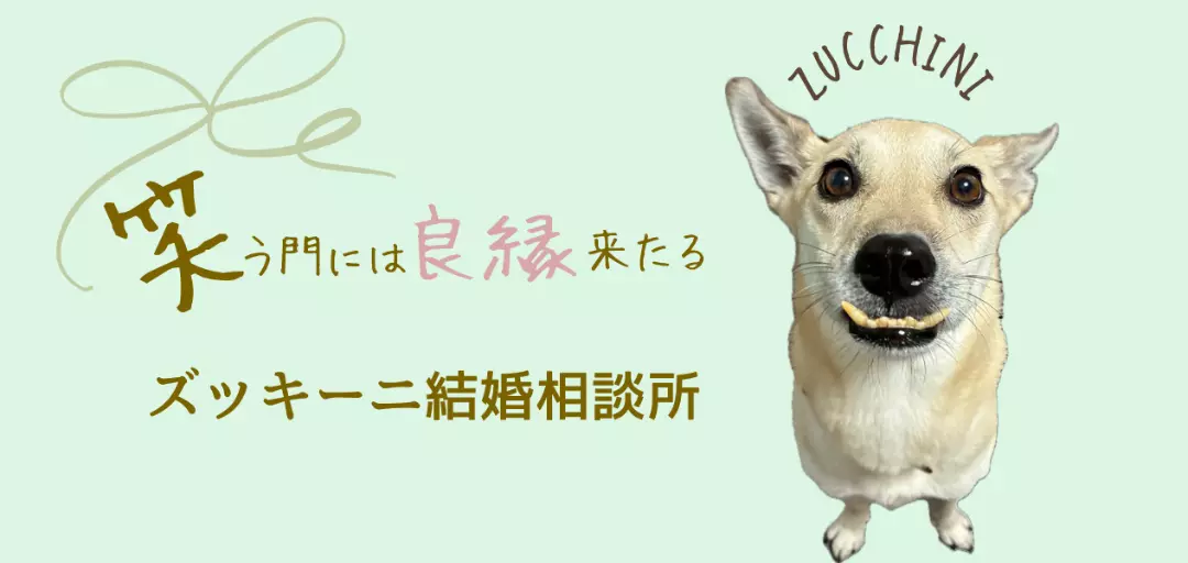 ズッキーニ結婚相談所のイメージ画像
