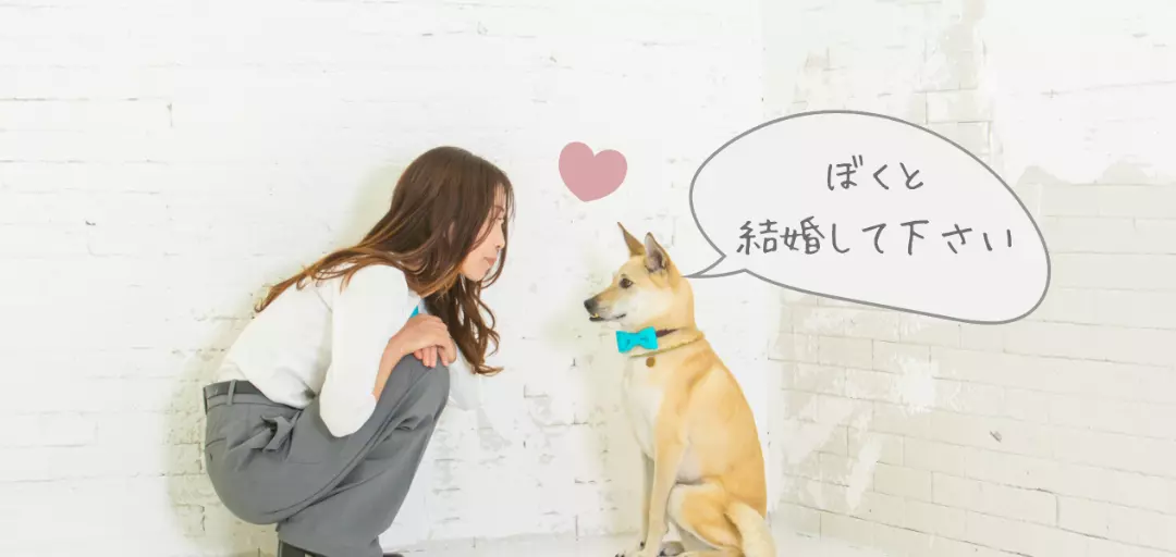 ズッキーニ結婚相談所のイメージ画像2