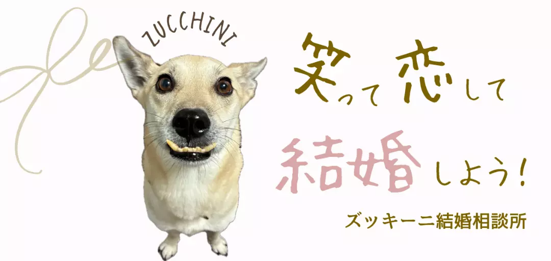 ズッキーニ結婚相談所のイメージ画像3