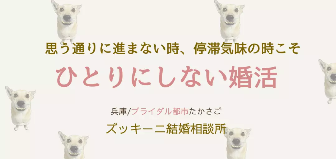 ズッキーニ結婚相談所のイメージ画像4