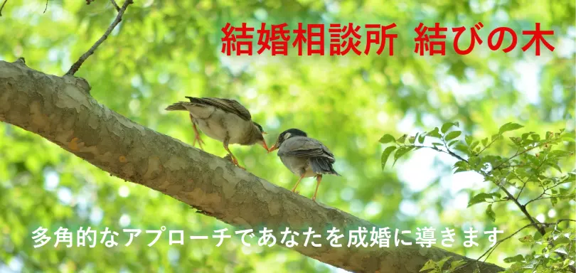 結婚相談所　結びの木のイメージ画像