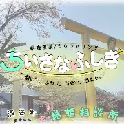 ちいさなふしぎのロゴ