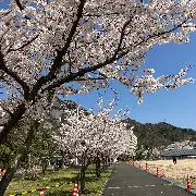 はりま結婚応援団のロゴ