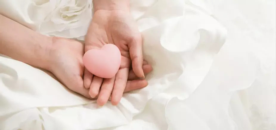 CANOのイメージ画像2