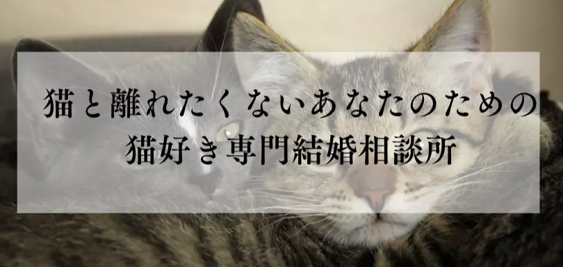 結婚相にゃん所ねここんのイメージ画像