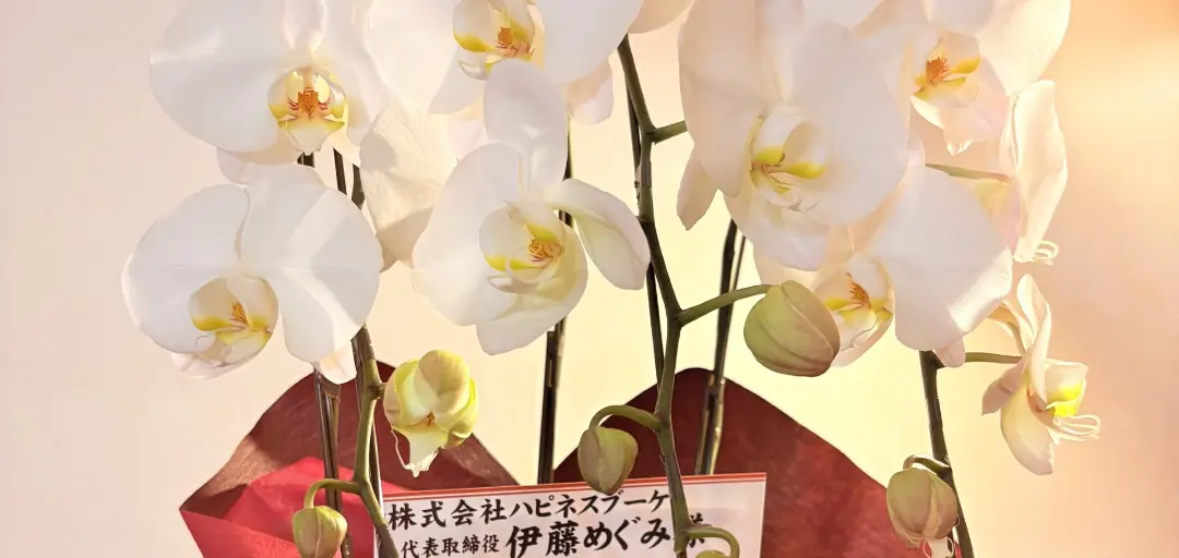 結婚相談所ハピネスブーケのイメージ画像5
