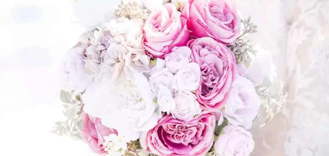 YOLOkobiマリアージュのイメージ画像2