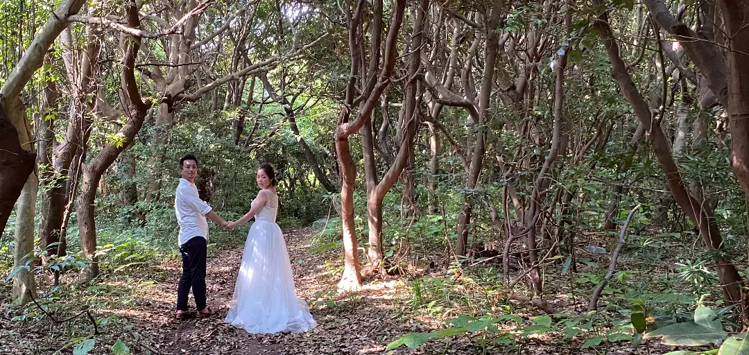 Will beのイメージ画像