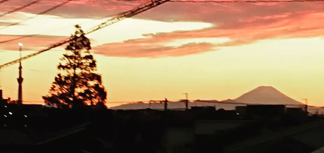 結婚相談所 ライフコンチェルトのイメージ画像