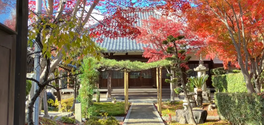 ジョイ結婚相談所のイメージ画像
