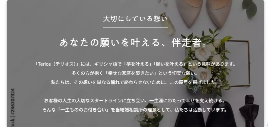Teriosマリッジのイメージ画像3