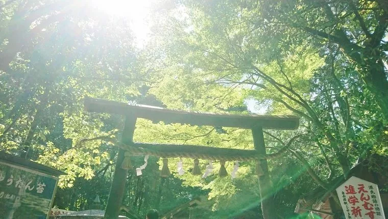 野宮神社参拝してきました