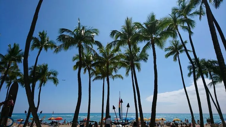 海外旅行で視野を拡げてみませんか