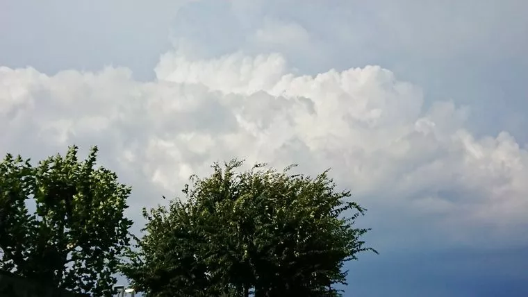 来週半ば、台風に注意です！
