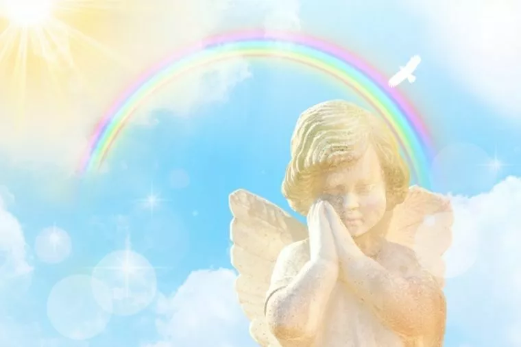 理想の結婚？理想のお相手？