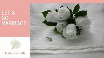 結婚相談所 ベイビーズ・ブレス　Baby's breath「婚活公務員必見！地方で婚活成功法」-6