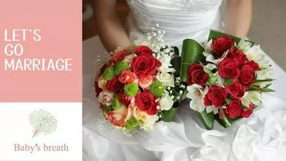 結婚相談所 ベイビーズ・ブレス　Baby's breath「結婚不安を打破！幸せへの最短ルート」-2