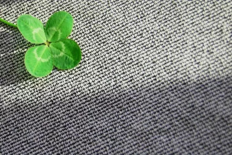 気持ちに対して正直者が「ご縁」を制する