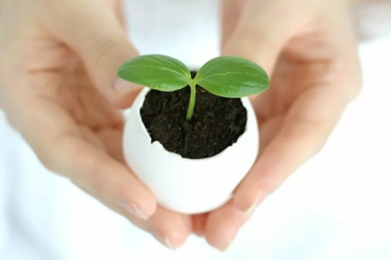 お見合 → 交際が続出中ですよ(^▽^)