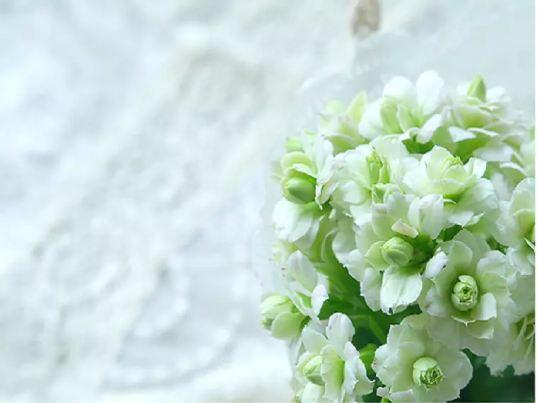 『絶対結婚するという気持ち』