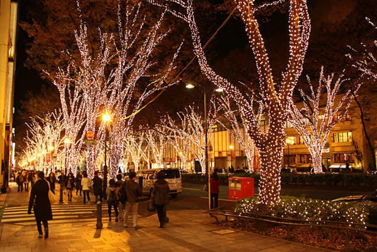 クリスマスプロポーズも夢ではない！