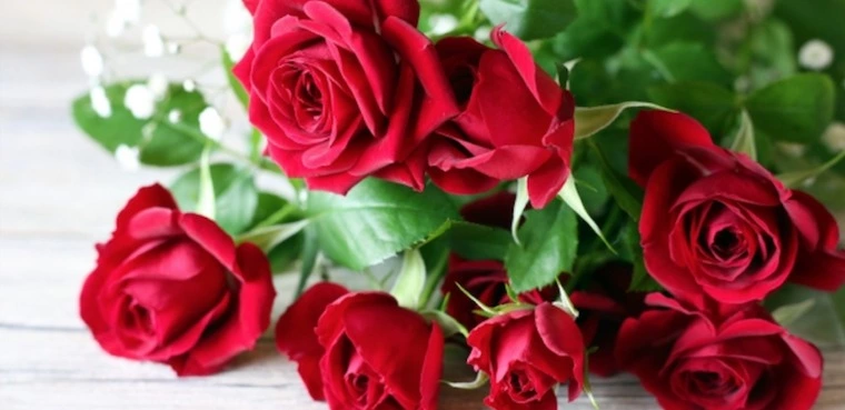 ＜ご成婚＞３６歳男性❤︎３３歳女性