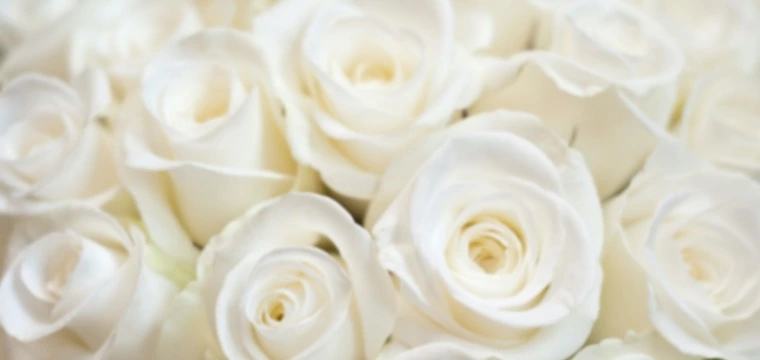 ＜ご成婚＞３９歳男性❤︎３６歳女性