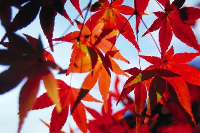 ウイン虎ノ門結婚相談所「婚活したいけど、結婚詐欺に遭わないようにするには!!?」-2