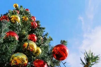リボンマリアージュ青山「クリスマスシーズンはプロポーズに最適！表参道の魅力」-2
