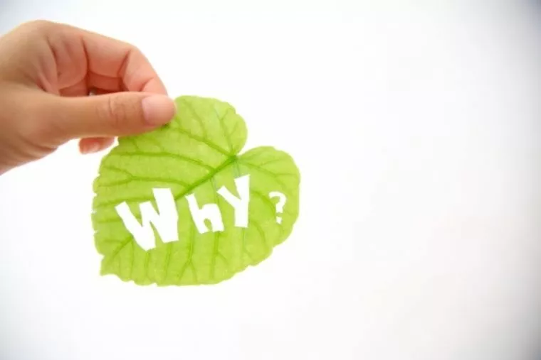 一部が全部？そんな訳ないじゃん！