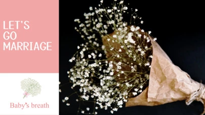 結婚相談所 ベイビーズ・ブレス　Baby's breath「行動こそ力：婚活で夢を叶える」-6
