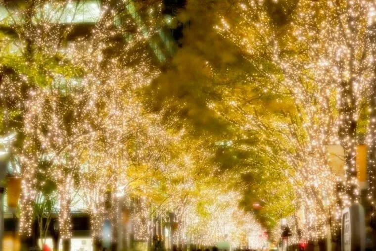 冬のデートで訪れたい東京のイルミネーションスポット5選