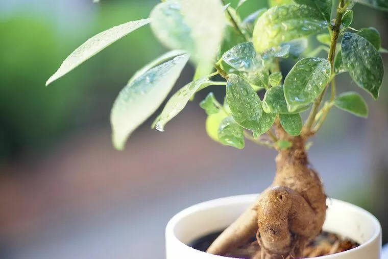 2023年1月の営業スケジュール