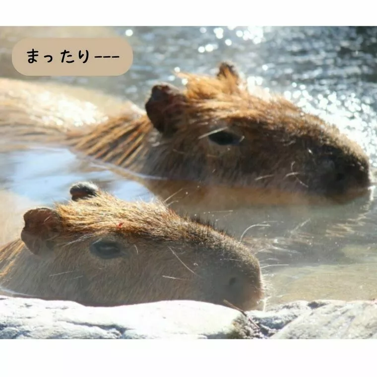 癒し系の女子はもてる？③