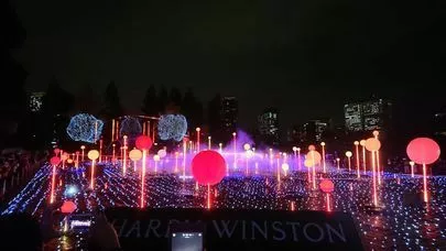 良縁コンシェルジュ町田「「青の洞窟」はご用心」-2