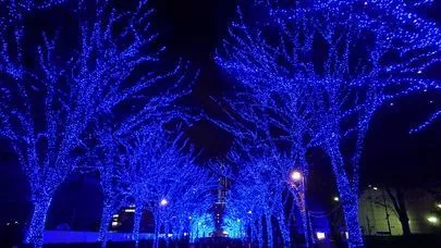 良縁コンシェルジュ町田「「青の洞窟」はご用心」-4