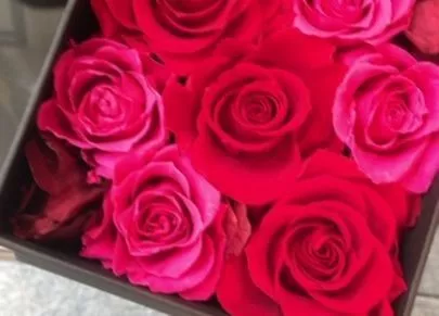 Dear Bride Tokyo「結婚相談所で成婚した人へ質問してみた(お見合い編）」-2