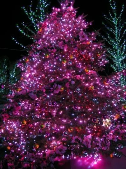 良縁コンシェルジュ町田「クリスマス★ソング」-4