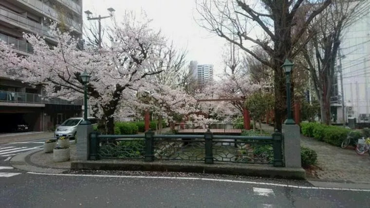 交際終了の本当の理由は・・・